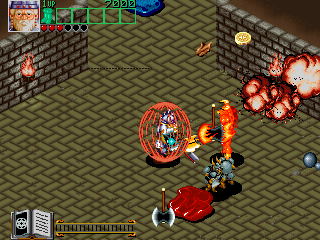 Wizard Fire abandonware